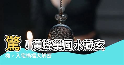 黃蜂巢風水|農曆七月蜂巢風水注意事項